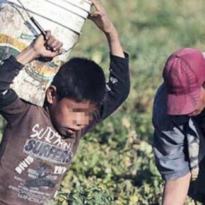 Consejo Editorial del The New york Times: La peligrosa carrera para poner a más niños a trabajar