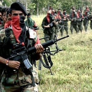ALARMA: Grupos armados irregulares invaden tierras y extorsionan a ganaderos en la frontera entre Venezuela y Colombia