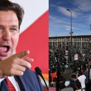 CLAVES: ANTE LA LEY DESANTIS que se debe hacer en Florida