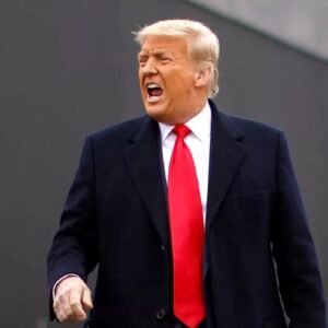 GRAVE PROMESA CONTRA MIGRANTES: Trump dice que acabará con la ciudadanía automática para hijos de indocumentados
