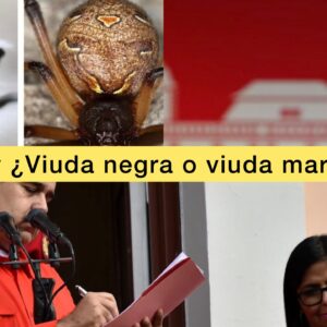 Caiga Quien Caiga Por Angel Monagas: Delcy, ¿Viuda negra o marrón?