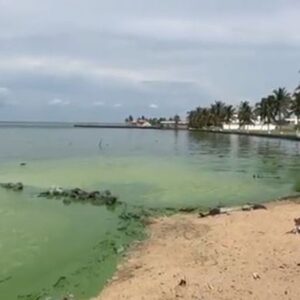 #Maracaibo Denuncian que camión cisterna derramó desechos líquidos en las orillas del lago