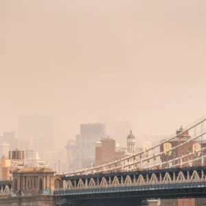 #NEWYORK Detectan misteriosas nubes de insectos verdes en calles de Brooklyn y Manhattan y hasta en el Subway sumado al humo tóxico de Canadá vea vídeos