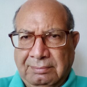 AL GRANO: La alianza democrática sin candidato Por Félix B Sucre