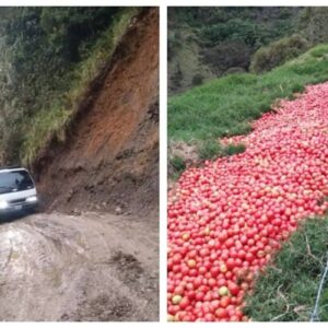 CRECE POLÉMICA ¿Será un crimen?: Escasez de gasolina obliga a productores andinos a botar tomates a un río