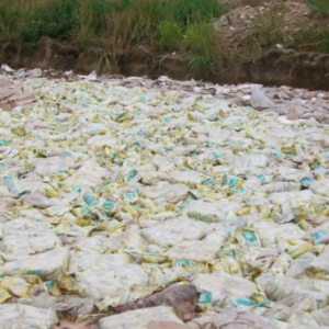#Recordar Hace 15 años se perdieron 118 mil toneladas de alimentos por culpa de Pdval y nadie fue condenado