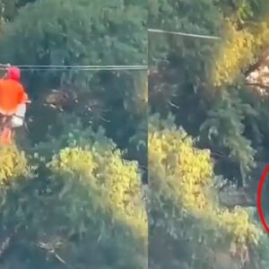 Niño de 6 años cae 12 metros desde una tirolesa hacia el suelo en #México (+video)