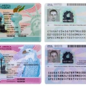 AUNQUE TENGAS GREEN CARD Puedes ser detenido: Un simple error puede llevar a inmigrantes a tener problemas con la «La Migra»