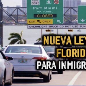 EN VIGENCIA Nuevas prohibiciones en Florida: Quiénes pueden conducir (y quiénes no)