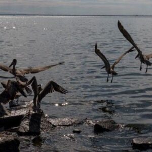 #ZULIA Denuncian «olores pestilentes» en el Lago de Maracaibo