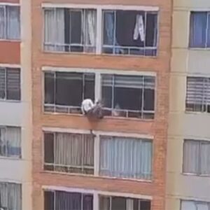 #Confirman que era una #venezolana la que cayó de un edificio en medio del #sismo en #Colombia (+Video)