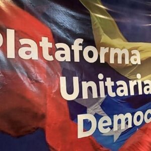 #ELECCIONESPRIMARIAS Ahora renuncia el técnico electoral ante la comisión nacional VER DOCUMENTO