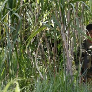 !PÁNICO FRONTERIZO¡ Enfrentamientos entre ELN y disidencias Farc  con participación del Tren de Aragua