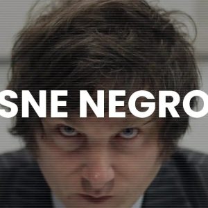 #ANALISIS El ‘cisne negro’ Milei pone patas arriba la política y la economía de Argentina