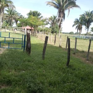 #VENEZUELA Productores de Pedraza, Socopó y Santa Bárbara claman justicia por asedió y hostigamiento de cuatros del eje andino Barinas