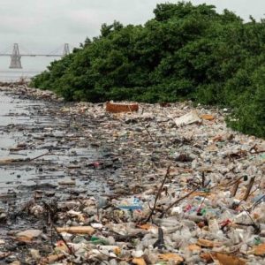 COMISIÓN PRESIDENCIAL: Retiran 213 toneladas de desechos plásticos de las orillas del lago de Maracaibo