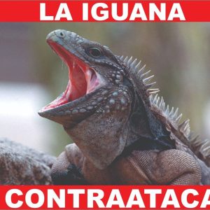 LA IGUANA CONTRAATACA en Zulia: Ministro Reverol denunció nuevo ataque contra el SEN tras fallas eléctricas registradas