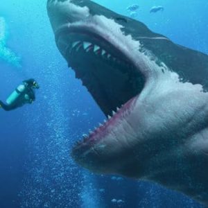 #ASOMBROSO Un estudio desmiente a Hollywood: el Megalodón no fue tan grande como lo pintan en las películas