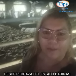 Piden al Fiscal General de la República que se avoque a conocer hechos de persecución y hostigamiento