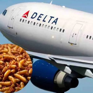 Terror en vuelo de Delta Airlines: Gusanos cayeron sobre una mujer