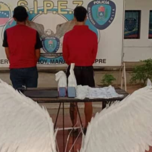Acusados en Fiscalía modelo LGBTQ y ayudante por irrespeto y alteración del orden público ante la Basílica