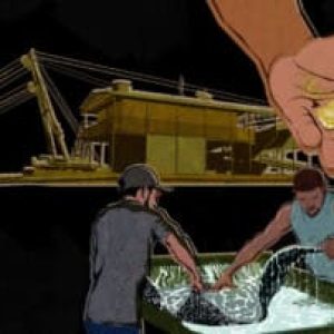 ARMANDO.INFO: El oro estimula el crimen y la corrupción en la Amazonía entre Brasil y Colombia