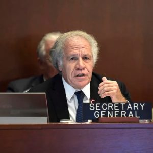 Panel de expertos de la OEA rechaza persecución contra integrantes del equipo de María Corina Machado