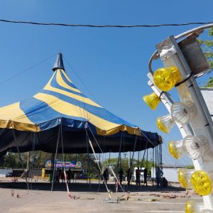SE DESPIDE el circo de México de Maracaibo, ofreciendo un espectáculo en El Puente Sobre El Lago: Avestruz perdida
