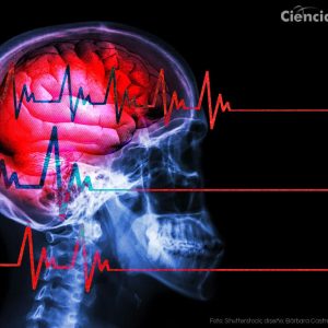 INFORME ESPECIAL Las personas con muerte cerebral podrían no estar muertas: Aquí le explicamos por qué