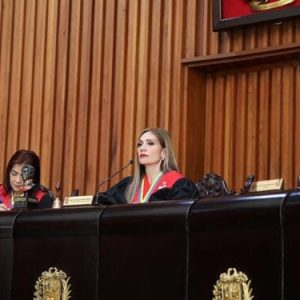 #VENEZUELA Tribunal Supremo de Justicia realiza peritaje a todo el material electoral de las presidenciales del 28Jul