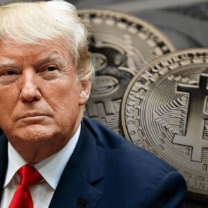 #ECONOMIA Trump prometió convertir a EEUU en la capital mundial del Bitcoin: ¿Es posible o sólo un slogan?