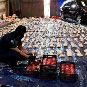 #ANALISIS Desmantelado un narcoestado: captagon y cocaína