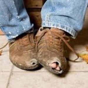 Docentes venezolanos condenados a la miseria: salarios apenas cubren 2,9% de la canasta básica