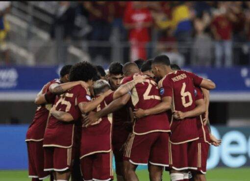 Bocha Vinotinto