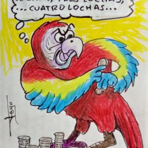 ¿Dónde están las 64 mil lochas? Por José Aranguibel Carrasco