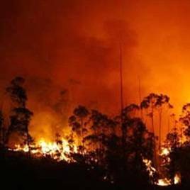 España: Respuesta de las autoridades ante los peores incendios forestales del siglo