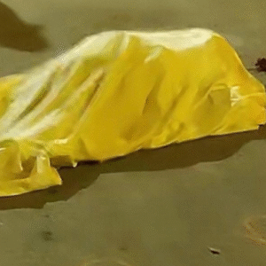 Sicarios asesinaron a #venezolana y dejaron una rosa junto a su cuerpo en #Perú