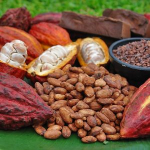 Cacao venezolano conquistó un reconocimiento mundial