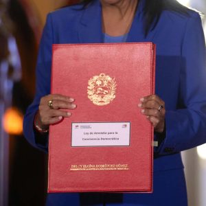 ¿Cómo es el contenido de la Ley de Amnistía para la Convivencia Democrática?