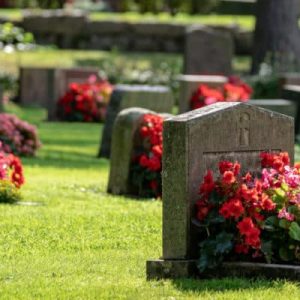 El juego para calcular el día de tu muerte que se volvió viral en redes