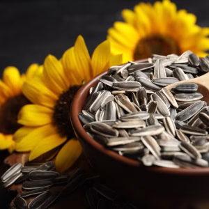 Semillas de girasol, un superalimento con beneficios para la salud integral