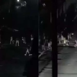 Noche de cacerolazos en Cuba en protesta por apagón masivo (+Video)