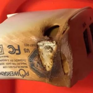 Joven muere electrocutada por el cargador de su celular en El Manzanillo