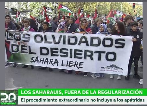 España. ¿Por qué la Regularización Masiva 2026 excluye a los saharauis?