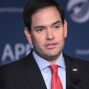 La Doctrina Rubio y la Muralla Digital por Dayana Cristina Duzoglou Ledo