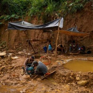 Venezuela identifica un nuevo mosquito capaz de transmitir malaria en una zona minera