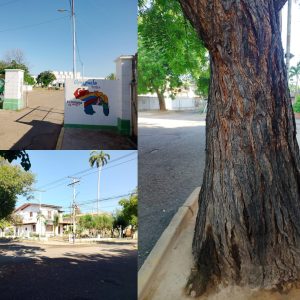 El único liceo de Maracaibo que tiene una avenida para él solito: Baralt (Video)