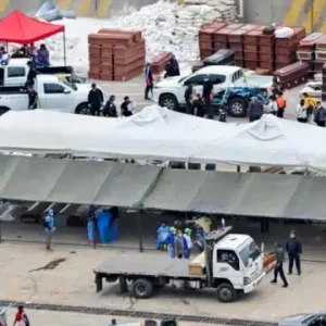 «Parece una película de terror»: El drama dentro de la morgue improvisada de Los Silos