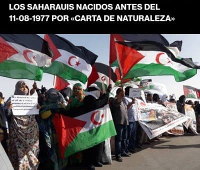 Recuperaran la nacionalidad española los saharauis nacidos antes del 11-08-1977
