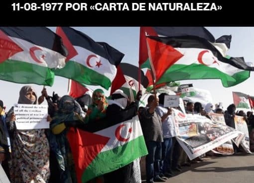 Recuperaran la nacionalidad española los saharauis nacidos antes del 11-08-1977